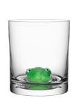 New Friends Tumbler Frog 46 Cl Home Tableware Glass Whiskey & Cognac Glass Nude Kosta Boda