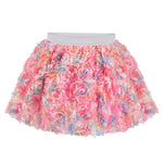 Sunny Fashion Girls Skirt Tutu Multicolor 3D Flower Applique Elastic Waist Age 6 Years