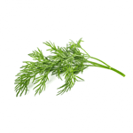 Click and Grow Smart Garden Refill 3-pack - Dill