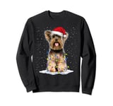 Yorkshire terrier Santa Christmas Tree Lights Xmas Sweatshirt