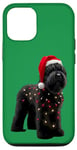 Coque pour iPhone 12/12 Pro Chapeau de Père Noël Terrier Russe Noir Lumières de Noël Propriétaire Chien