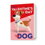 Valentine's Day Card From The Dog The Secret Life Of Pets