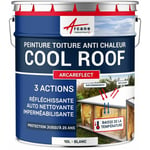 Cool Roof - Peinture toiture blanche réfléchissante, anti chaleur, auto nettoyante : Arcareflect - 10 l Blanc Arcane Industries