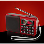 Odipie - jamais UTILISÉ]Radio Portable FM/AM(MW)/SW/USB/Micro-SD/MP3, Poste Radio avec Grands Boutons et Grand Écran,Radio Portable Rechargeable