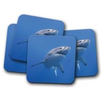 4 Set - Great White Shark Coaster - Marine Hunter Ocean Sea Surf Fun Gift #14210