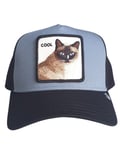Chapeau Avec Visiere Goorin Bros. Cool Cat Unisexe Synthétique Bleu