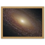 Artery8 Hubble Space Telescope Image Spiral Galaxy NGC 2841 Blue Pink Emission Nebula Starbirth Region And A Majestic Disk Of Stars And Dust Lanes Artwork Framed A3 Wall Art Print