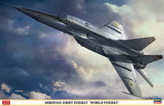 Hasegawa 1/48 Mig-25RBT Foxbat "World Foxbat"