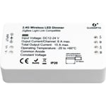 Zigbee Led dimmer 12/24V 2x6A 2,4Ghz