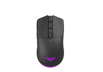 PREYON Owl Wireless Souris Gamer - Accessoire PC Gamer - Souris sans Fil - Ergonomique - Rétroéclairage RVB - LED - OMRON 50M - Pixart Paw 3335 - Précision - Performance