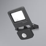 LEDVANCE Endura Flood Sensor-LED-ulkovalo harmaa