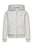 GANT Shield Zip Hoodie Grå