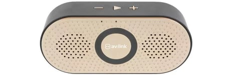 Av:link 100.613UK Rechargeable Portable Bluetooth Speaker w/ Mic & Mini SD