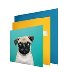 INFORMA Housse de cadre 3 changements de cadre photo pour chien, sans cadre, 49 x 49 cm, motifs interchangeables avec impression directe UV, pour cadre photo LED