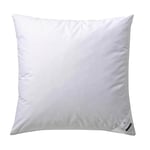 Billerbeck Coussin en Duvet Martina - Coussin en 80 x 80 cm - Oreiller avec Pouvoir de Soutien Ferme - Duvet d'oie 15% et Plumes 85%