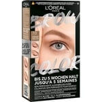 L’Oréal Paris Silmämeikki Kulmakarvat Brow Colour kulmaväri 7.0 Tumma vaalea 15 ml (1 083,33 € / 1 l)