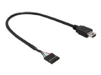 Delock USB 2.0 Pin Header - USB intern till extern adapter - mini-USB typ B (hane) till 5 stifts USB 2.0-rubrik (hona) - 30 cm - svart