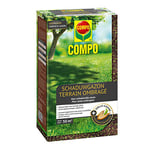 COMPO Graines de Gazon Pelouse Ombrage pour Zones Ombrées Verte Contre Les Déguisements d'oiseaux, Germination Rapide, pour 50 m², 1 kg