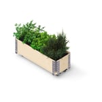 Buri - Upyard HerbsBox Short - bac à herbes avec roulettes, 80x30 cm, bois naturel