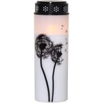 Led gravljus star trading - Dandelion vit