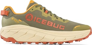 Icebug Women's Arcus 2 Bugrip Gore-Tex Olive/Terracotta, 36