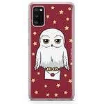 ERT GROUP Coque de téléphone Portable pour Samsung A41 Original et sous Licence Officielle Harry Potter Motif 240 Parfaitement adapté à la Forme du téléphone Portable, Coque en TPU