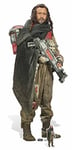 STAR CUTOUTS Ltd - Silhouette en Carton Star Wars Rogue One Baze Malbus Jiang Wen - 180 x 77 x 180 cm