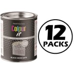 12X Paint Factory Black Iron Gate Gloss Tin Paint Fast Drying Exterior Use 300ml