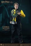 Harry Potter Cedric Diggory 1/6 Figurine Star Ace