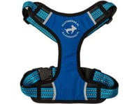 All For Dogs Sports Sele Blå S. S (45-80Cm)