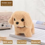 Kawaii Plysch Hund Leksak Kan Gå Barka Nacka Simulering Plysch Elektrisk Valp Utan Batteri Barnleksaker Elektrisk Valp Kan Vifta På Svansen[HK] Golden hair