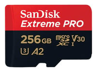 SanDisk Extreme Pro - Carte mémoire flash - 256 Go - A2 / Video Class V30 / UHS-I U3 / Class10 - microSDXC UHS-I