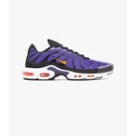 Baskets Nike  Air Max Plus TN Voltage Purple