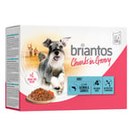 Briantos Chunks in Gravy 12 x 100 g -  lohta & porkkanaa