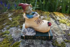 97246 FIGURINE TROLL DANS  CHAUSSURE    FEE  PIXIE ELFE PIXIES LIVRE LES REVES 