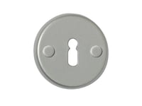 Barcz Door Key Plate T2 Silver Color 100