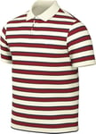 Nike Men's Shirt M NK Club Stripe Polo, Sail/White, FN3896-133, M