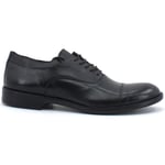 Chaussures Café Noir  Derby Nero GRE232