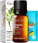 Gya Labs Angelica Root Essential Oil (10ml) - Earthy & Herbaceous Scent