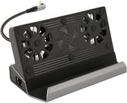 Station d'accueil Compatible avec Steam Deck, 10 en 1 pour Rog Ally Dock, Station avec 5 USB 3.0 2.0 Double Ventilateur de Refroidissement Interface Multimédia HD 4K à 60 Hz