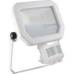 Projektor Floodlight Performance Sensor 1100lm 10W 830 IP65 vit