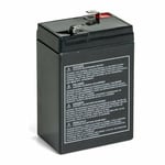 Batterie Véhicules Electriques Peg Perego 6v-4, 5Ah Avec Jack IGOD0098