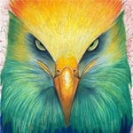 Rainbow Raptor  - Art Blank Greeting / Birthday Card - Bird of Prey Head