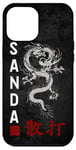 iPhone 12 Pro Max Dragon Sanda Chinese Boxing Case