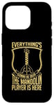 iPhone 16 Pro Everything's Gonna Be Okay Country Music Instrument Mandolin Case