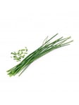 Veritable Lingot Organic Chives