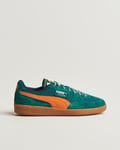 Puma Palermo Supertifo Suede Sneaker Green