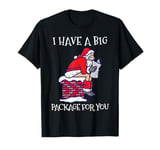 I Have A Big Package Funny Santa Christmas T-Shirt