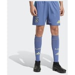 adidas Ajax Amsterdam 24/25 Away Shorts, størrelse X-Small