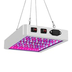 3000W LED-växtlampa för hydroponisk odling, fullspektrum, inomhusväxthus